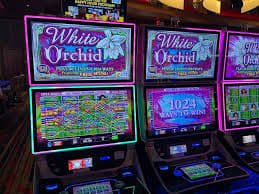 Pengingat 18+ pada hiburan Fortune Mouse